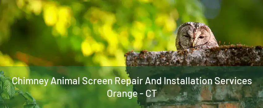 Chimney Animal Screen Repair And Installation Services Orange - CT