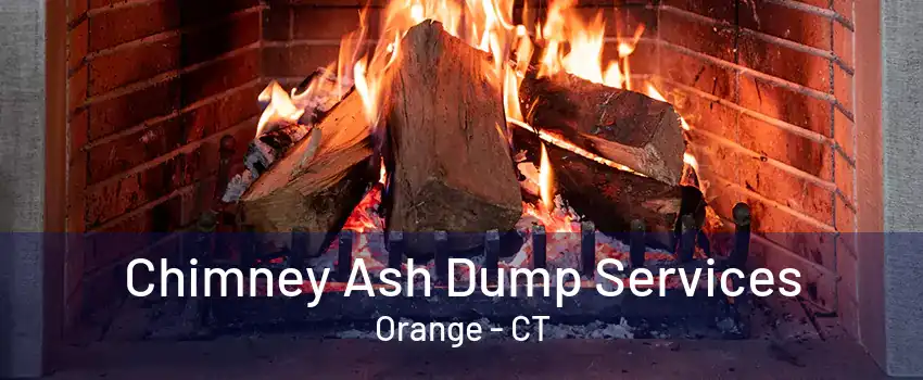 Chimney Ash Dump Services Orange - CT