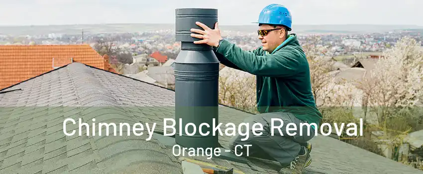 Chimney Blockage Removal Orange - CT