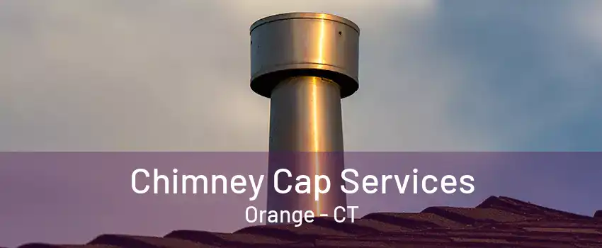 Chimney Cap Services Orange - CT