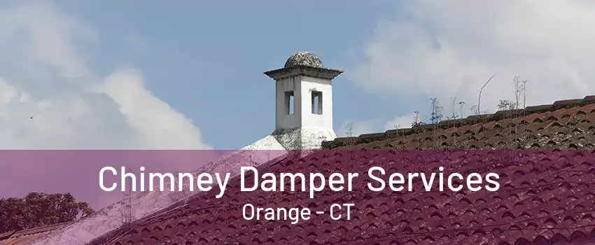 Chimney Damper Services Orange - CT