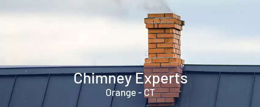 Chimney Experts Orange - CT