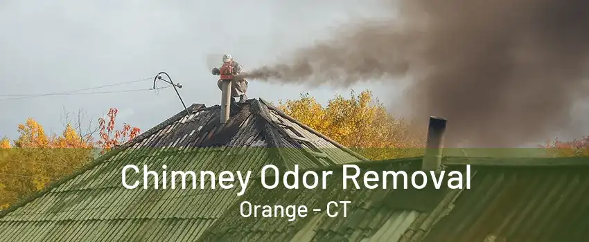 Chimney Odor Removal Orange - CT