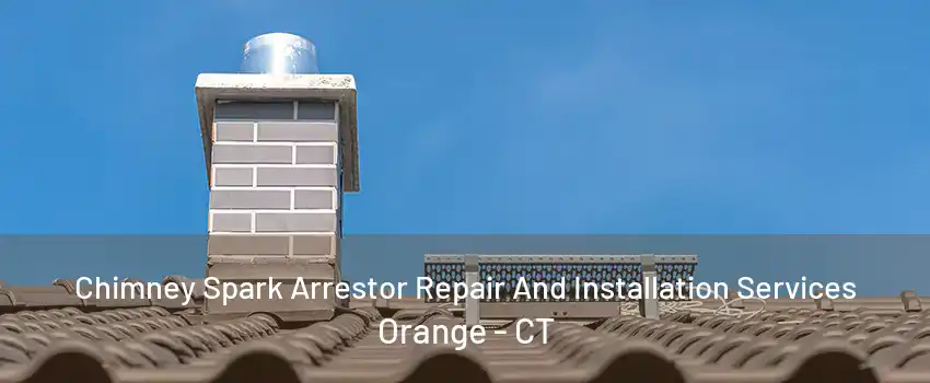 Chimney Spark Arrestor Repair And Installation Services Orange - CT