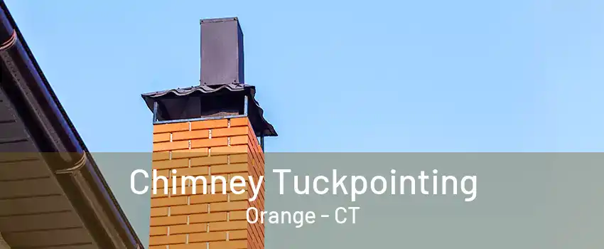 Chimney Tuckpointing Orange - CT