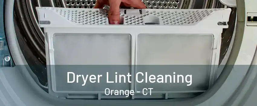 Dryer Lint Cleaning Orange - CT