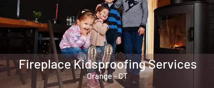 Fireplace Kidsproofing Services Orange - CT