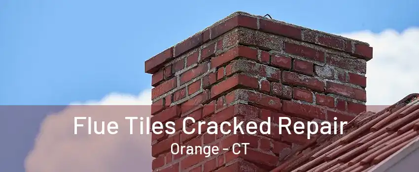 Flue Tiles Cracked Repair Orange - CT