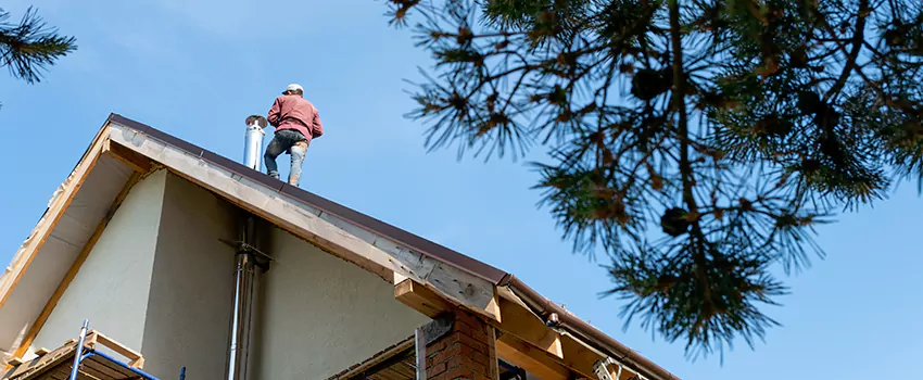 Birds Removal Contractors from Chimney in Orange, CT