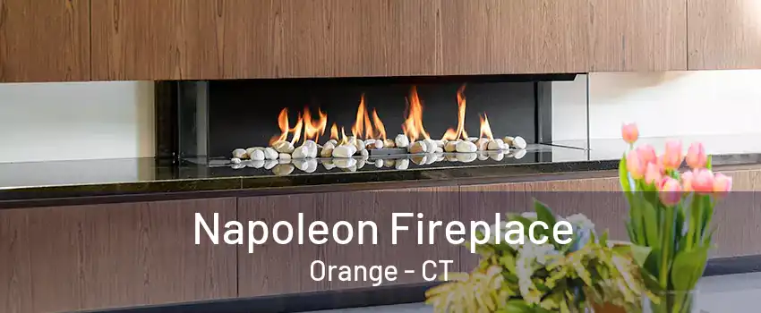 Napoleon Fireplace Orange - CT