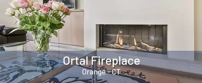 Ortal Fireplace Orange - CT